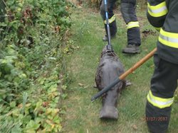  V Pňovicích hasiči lovili bobra z bazénu a v Nezamyslicích pak zachraňovali vypadlého čápa z hnízda.