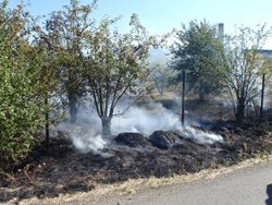 Rozšíření požáru na keře a ovocné stromy hasiči zabránili