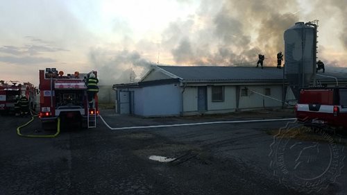Náročnou noc mají za sebou hasiči při likvidaci požáru drůbežárny na Holicku