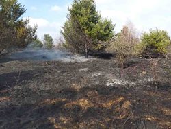 Na Břeclavsku jsme likvidovali rozsáhlý požár porostu