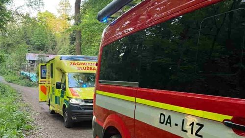 Malý cyklista zůstal bezmocně ležet v hlubokém lese. O jeho osudu rozhodl muž se psem