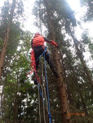 Lezecká skupina hasičů zachraňovala paraglidistu ze smrku v Beskydech