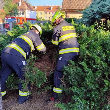 Pejsek se ztratil v křoví. Hasiči v Lounech mu přispěchali na pomoc