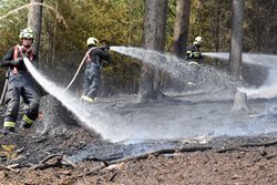 Ve svahu nad přehradou hořel les