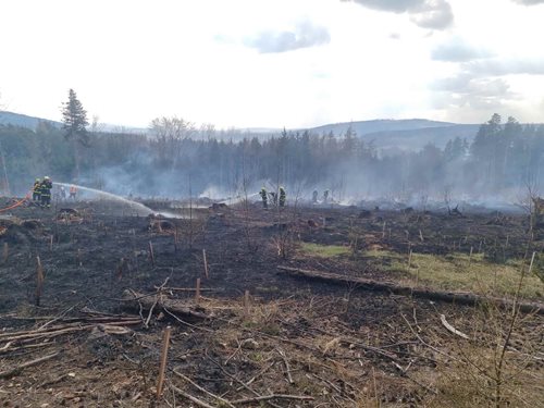 Požár lesa zaměstnal desítky hasičů