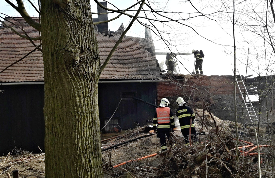 ViewImage-(1).jpg ViewImage-(1).jpg