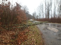 Hasiči v Královéhradeckém kraji odstraňovali následky bouře Sabine