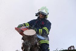 Odstraňování spadlých stromů