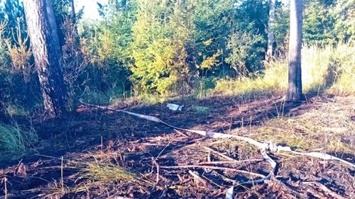 Hasiči varují před požáry v přírodě. Stačí jediný nedopalek a škody mohou být obrovské