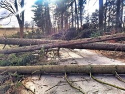 V sobotu  i  neděli  hasiče v Jihočeském  kraji zaměstnal a stále zaměstnává silný vítr