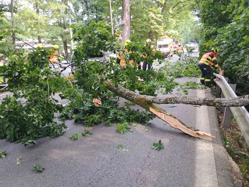 Vichřice v kraji: Hasiči zasahovali u desítek událostí