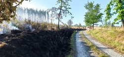 Požár mladého lesa na Bruntálsku