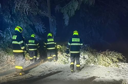 Nebezpečné počasí: Padající stromy zaměstnaly hasiče po celý týden