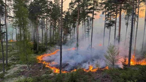 Plameny pohlcují krajinu a záchranáři drží při sobě v nejtěžších chvílích