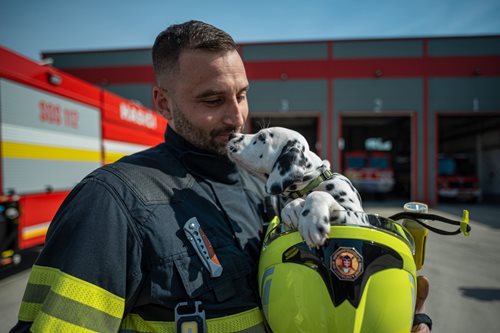 Hrdinský zásah: Pes zachráněn ze dvanáctimetrové studny