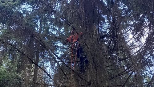 Riskantní let skončil zásahem hasičů