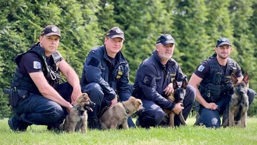Nové policejní posily míří do výcviku. Ze štěňat budou specialisté na pátrání i drogy
