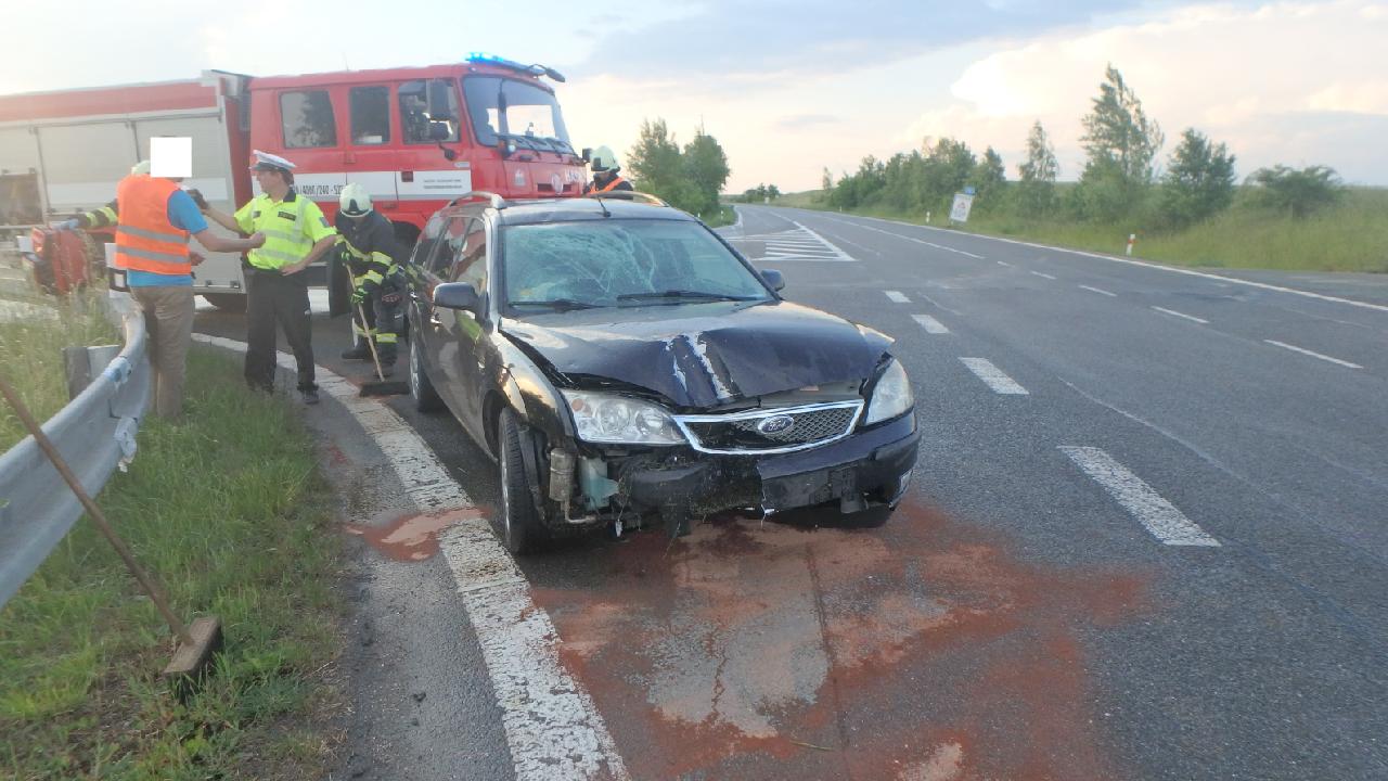 oleenice2-(1).jpg oleenice2-(1).jpg