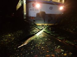 Kvůli větru vlak na Bruntálsku najel na spadlý strom