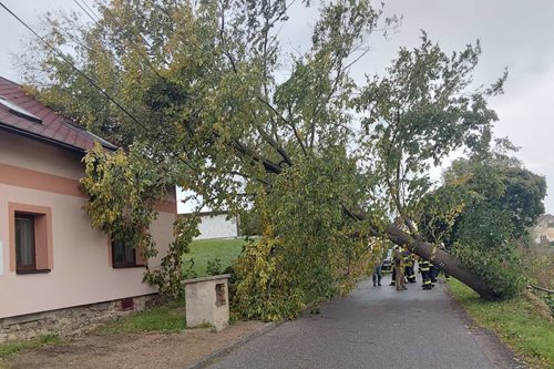 Náročný víkend pro hasiče: Desítky zásahů, popadané stromy i auta na střeše
