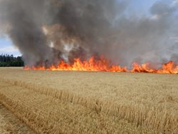 Požár 12 hektarů pole