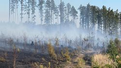 Rozsáhlý Požár lesa Libavá - Kozlov