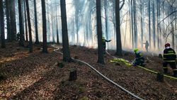 Nevypalujte trávu a v lesích nepoužívejte otevřený oheň