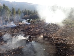 Opakující se požáry po pálení v lesích zaměstnávají hasiče na dlouhé hodiny