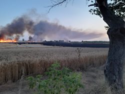 Při požáru pole shořelo 53 hektarů obilí
