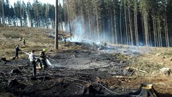 Profesionální a dobrovolní hasiči z Pardubického kraje zasahovali včera 6.dubna u třinácti požárů lesního porostu