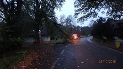 Hasiči v Královéhradeckém kraji v souvislosti se silným větrem zasahovali u 90 událostí. 