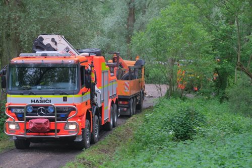 Ostravský Bizon pomohl rychle svému bratrovi z lesního bláta