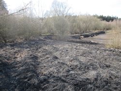 Hasiči v Plzeňském kraji přes varování obyvatelstva opakovaně vyjíždějí k pálení trávy