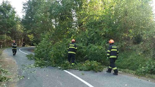 Silný vítr zasáhne část Česka. Nárazy mohou dosáhnout až 70 kilometrů v hodině