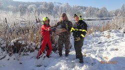Moravskoslezští hasiči v uplynulých dnech zachraňovali labuť, kuny i salašnického psa