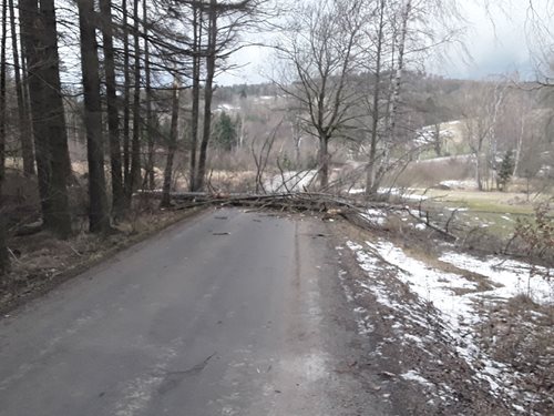 Hasiče na Vysočině zaměstnávají popadané stromy