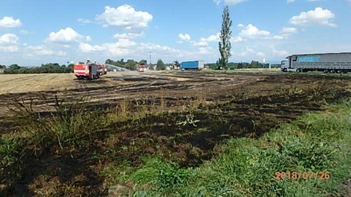 holohlavy1.jpg holohlavy1.jpg