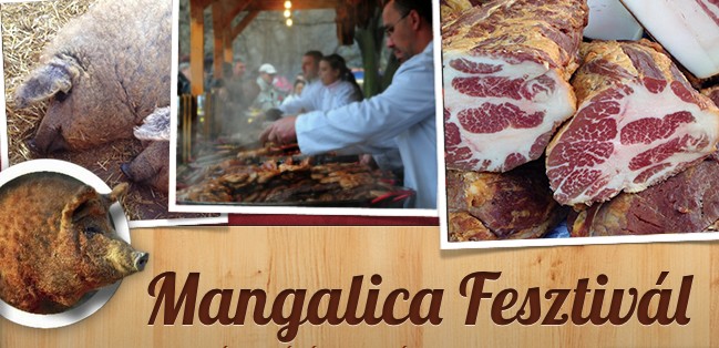 Mangalica-festival-1-(1).jpg Mangalica-festival-1-(1).jpg