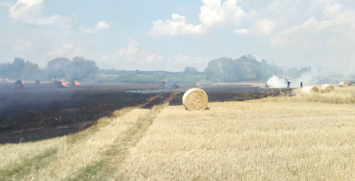 ViewImage-(4).jpg ViewImage-(4).jpg