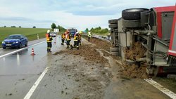 Na dálnici havaroval kamion s živým nákladem