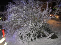 Těžký sníh láme stromy ve Zlínském kraji