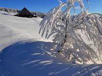 dsc_1020.jpg