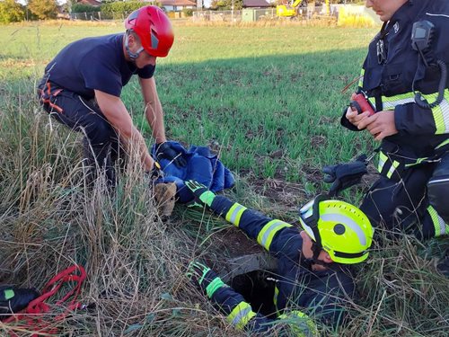 Hasiči zachránili srnu uvězněnou v hluboké skruži