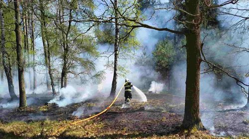 Požár porostu zasáhl rozsáhlou plochu