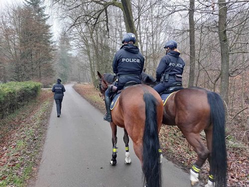 Policie odhalila rizika opuštěných chat a varuje před nárůstem vloupání