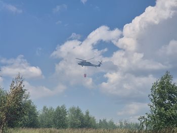 Požár u Nové Hradečné zasáhl lesní porost na sedmi hektarech
