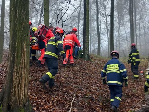 Obtížný zásah v lese odhalil rizika práce se dřevem