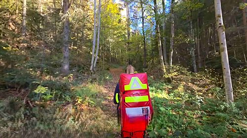 Turista zkolaboval na Šumavě. Záchranáři k němu museli pěšky, cestu blokoval strom