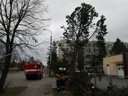 Práce na popadaných stromech  po extrémně náročném víkendu pro jihočeské hasiče nekončí. 