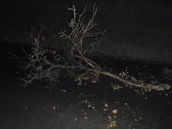 Hasiči odstraňovali následky poryvu větru v celém Zlínském kraji.